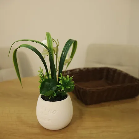 The Swan Nest 1 Casa vacanze *