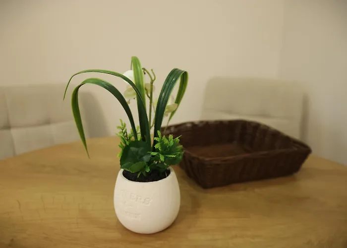 The Swan Nest 1 Casa vacanze *